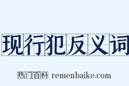 现行犯反义词是什么意思的图片